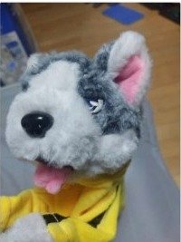 Foto cliente PawPunch